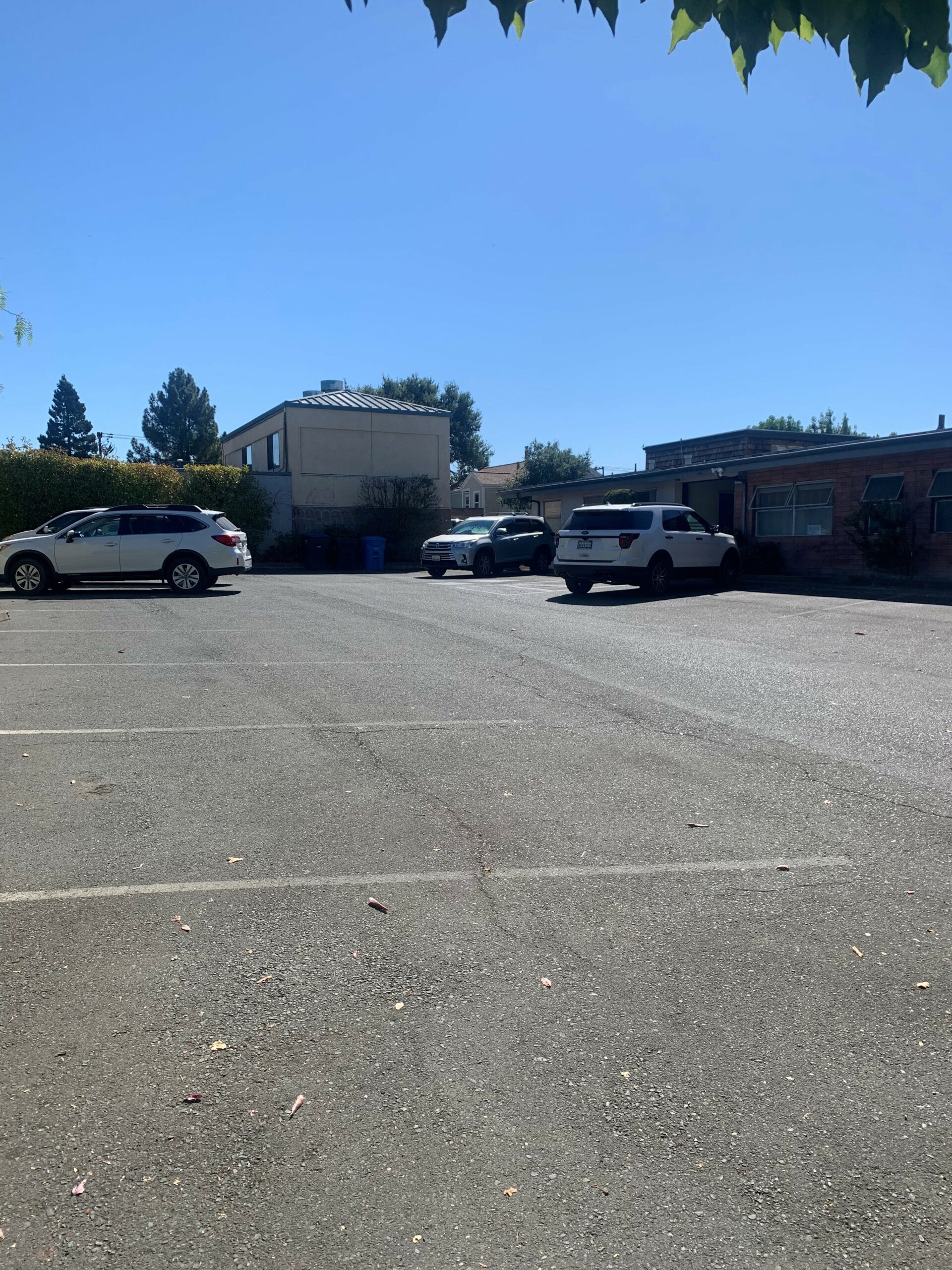 Commercial Lease Bundesen Property Management